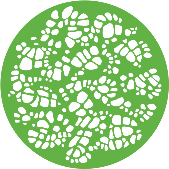 Turtle Shell Clipart (800x800), Png Download