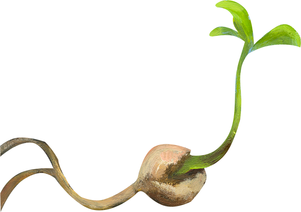 Little Seed Is The Story Of Self Awareness, Self Empowerment, - Reptile Clipart (961x675), Png Download