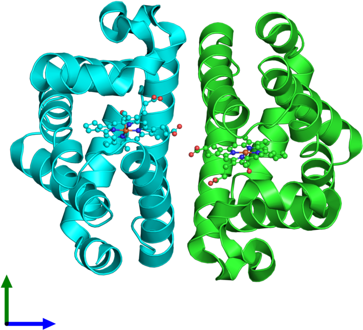 Pdb 5hbi Coloured By Chain And Viewed From The Front Clipart (800x800), Png Download
