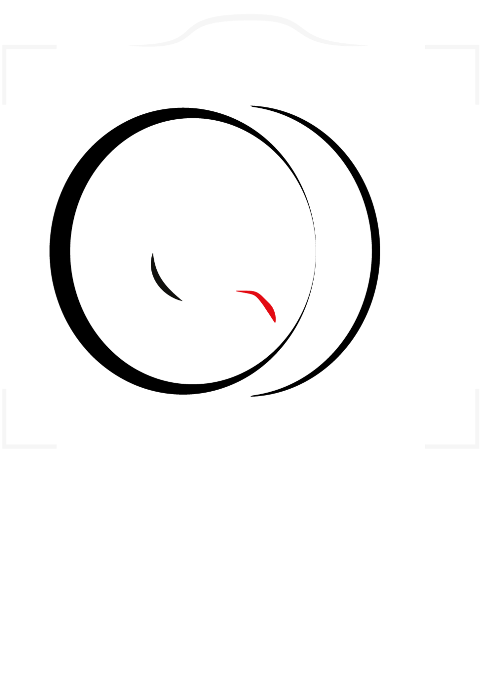 Wag & Snap Logo Blue Removed 7 Removed Blue Layer - Circle Clipart (1000x1409), Png Download