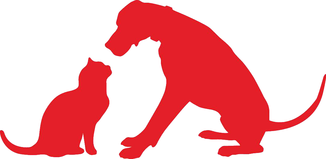 Peration Tail Wag - Illustration Clipart (1082x529), Png Download