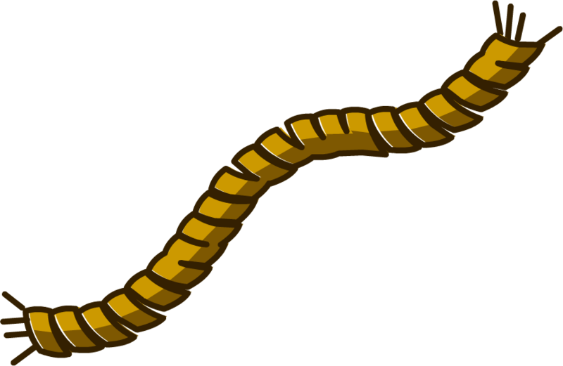 Png Seil Pluspng - Rope Clipart (800x521), Png Download