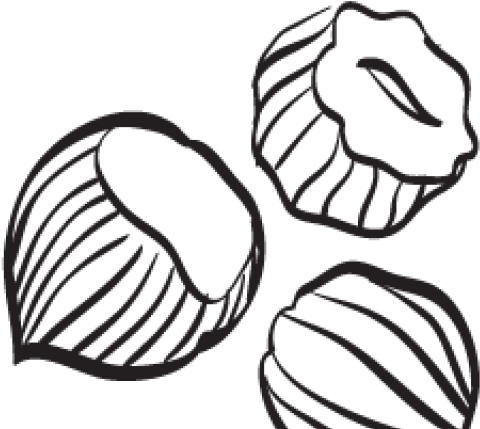 Hazelnut Clipart Black And White - Png Download (640x480), Png Download