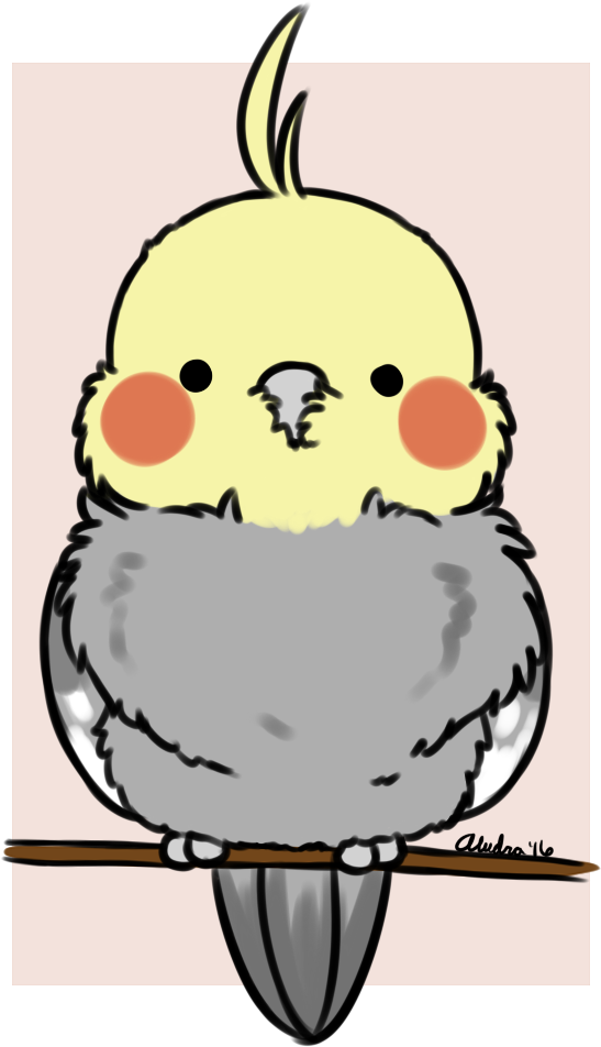 Cockatiel - Cockatiel Clip Art Transparent - Png Download (652x1000), Png Download