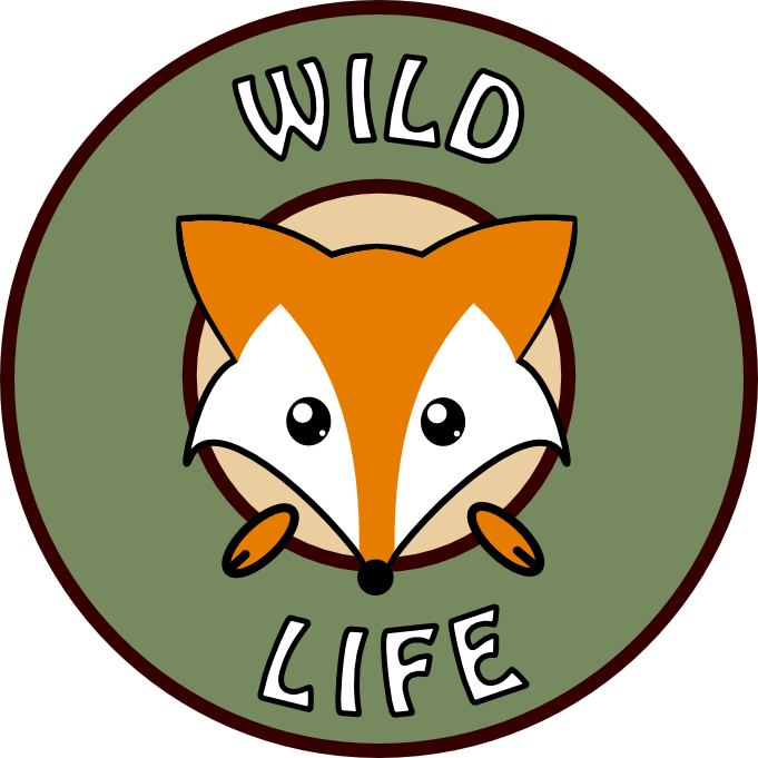 Alexander Followed Clipart (681x681), Png Download