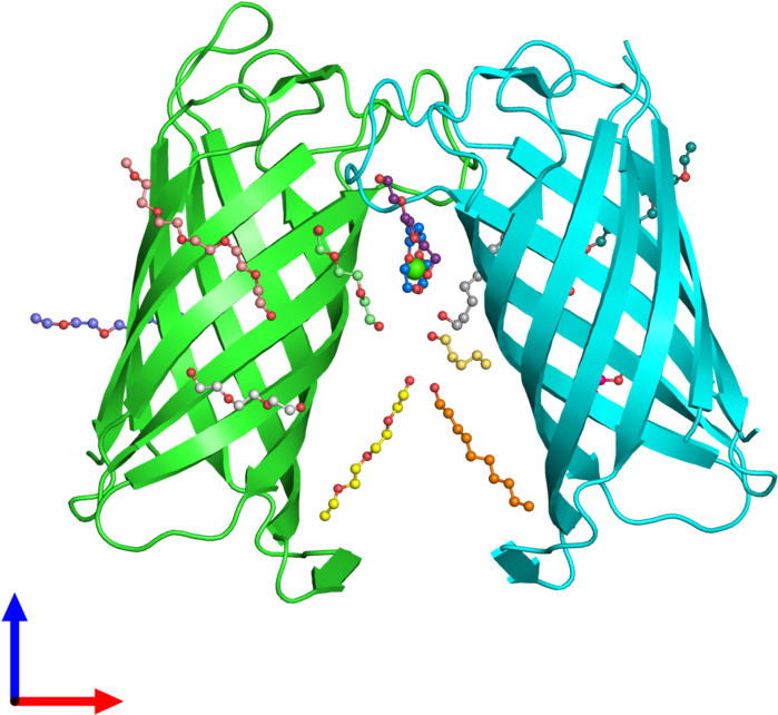 Pdb 2erv Coloured By Chain And Viewed From The Front - Illustration Clipart (800x800), Png Download