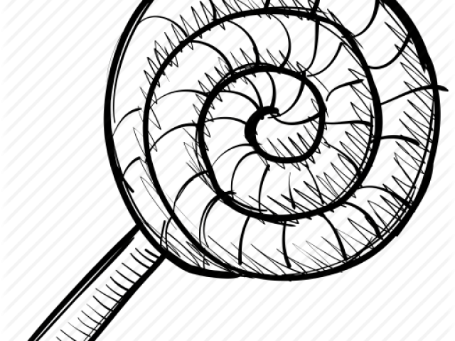 Mollusc Clipart Candy - Sketch - Png Download (640x480), Png Download