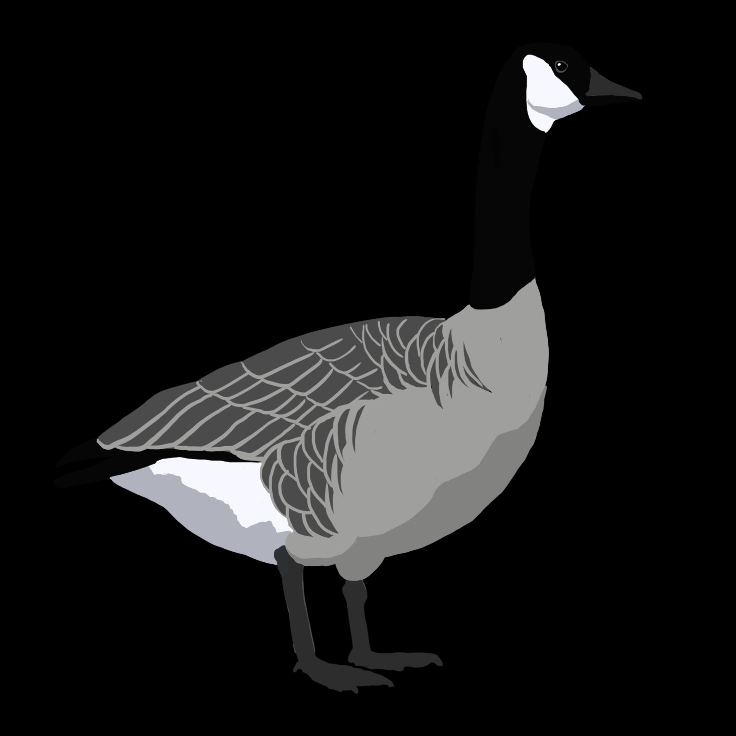 Duck Clipart (1470x1470), Png Download