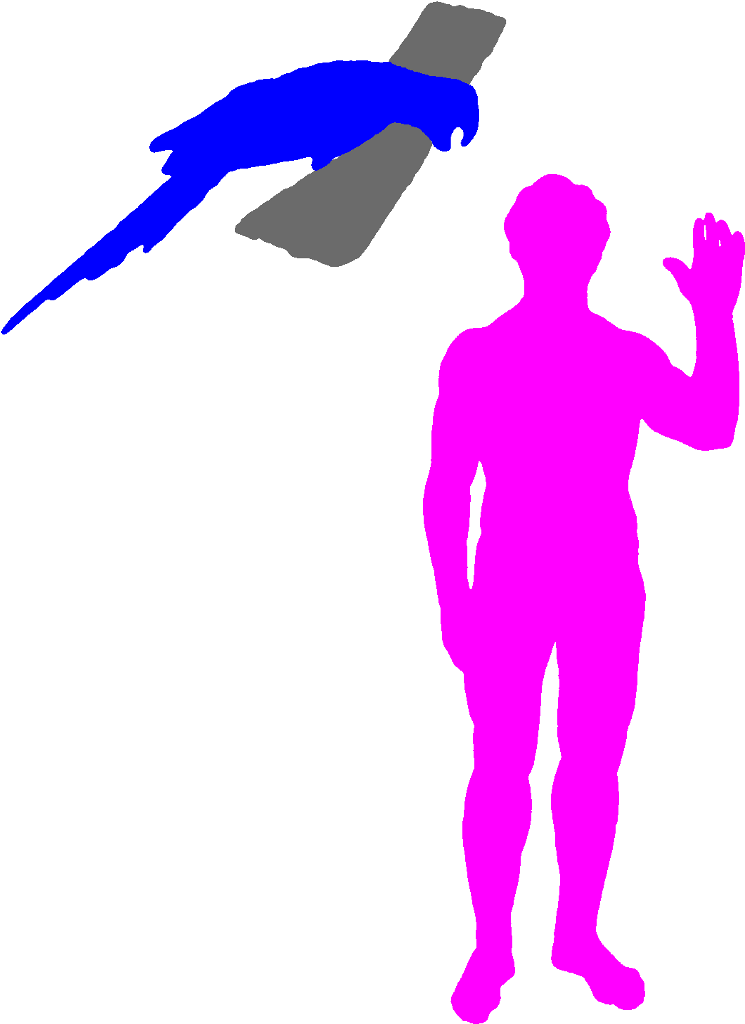The Hyacinth Macaw Is The World's Longest Parrot Clipart (780x1048), Png Download