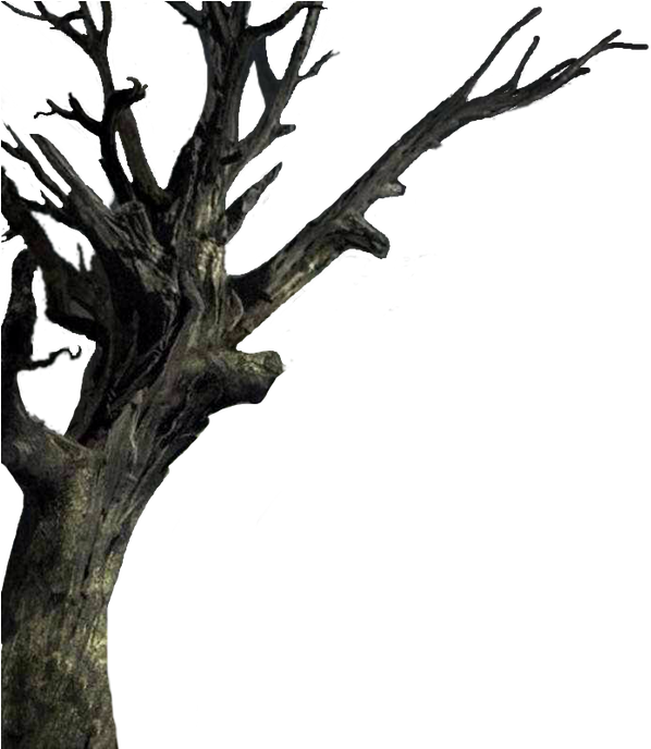 Isolated The Tree - Spooky Tree Transparent Clipart (1100x687), Png Download