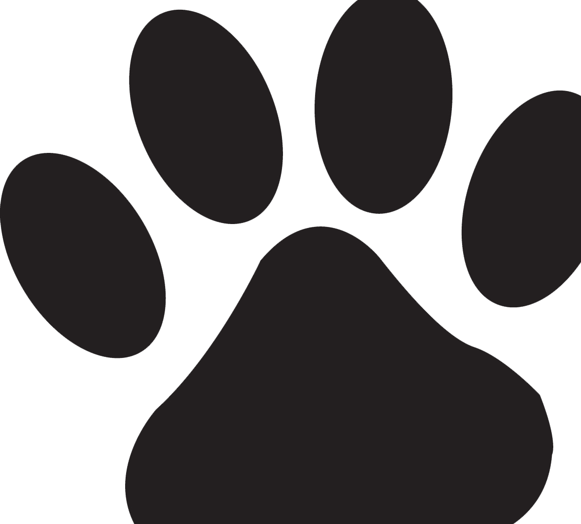 Brown Bear Is A Mammal That Inhabits Forest And Mountainous Clipart (1193x1076), Png Download