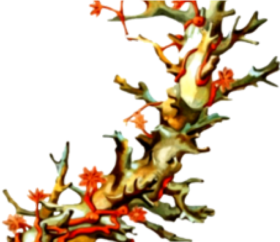 Coral Reef Clipart Flower - Vintage Coral Illustrations - Png Download (640x480), Png Download