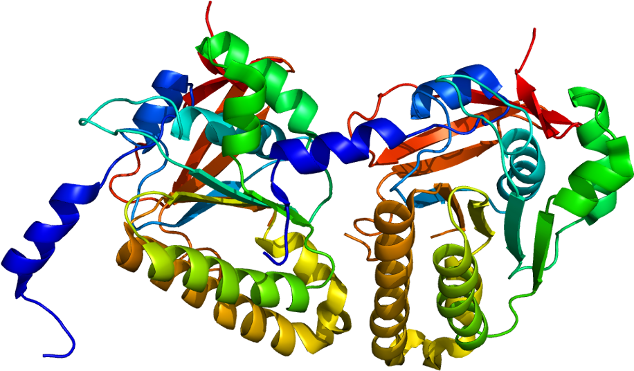 Dmc1 Protein Clipart (965x585), Png Download