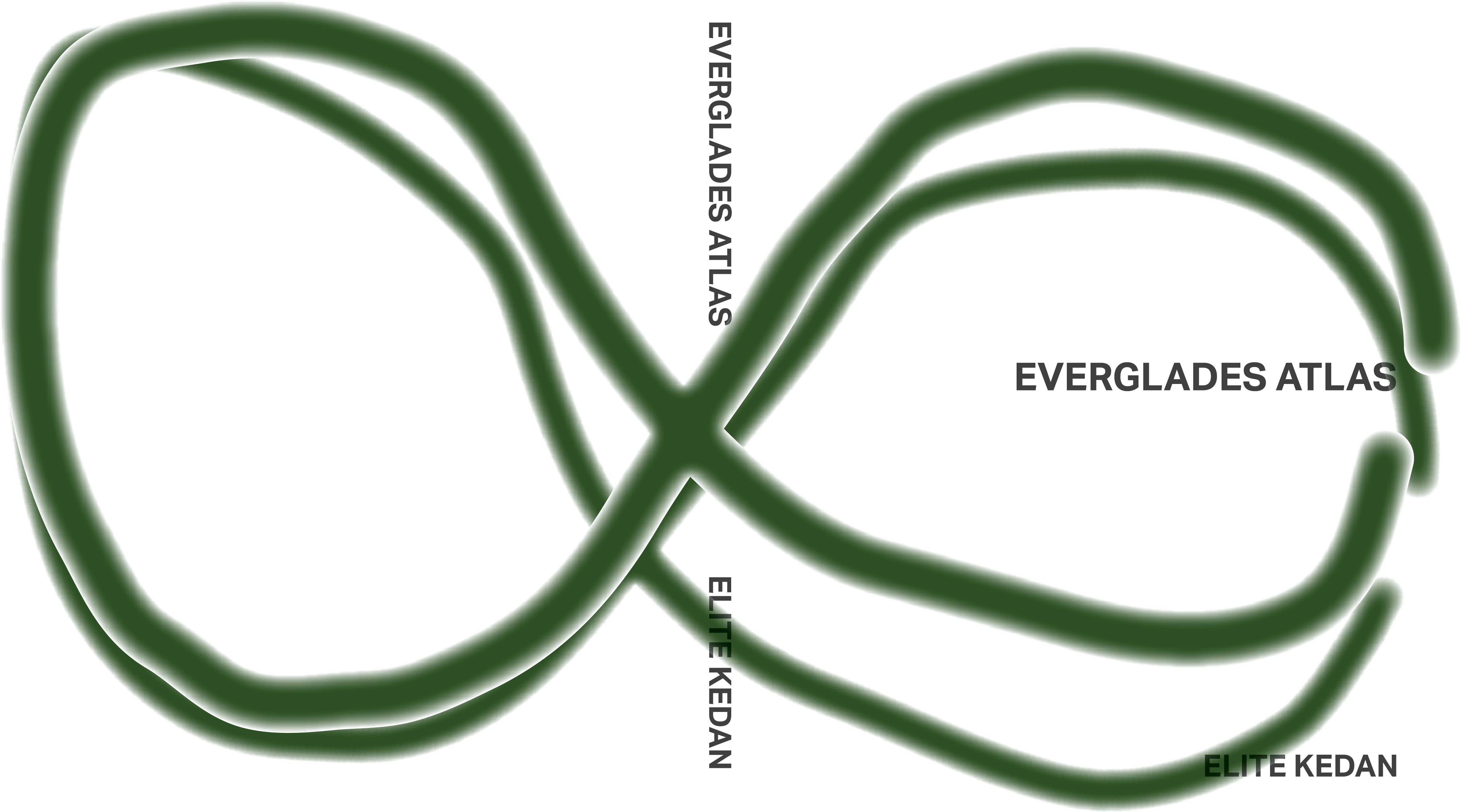 Com 1 - Plant Clipart (4781x2664), Png Download