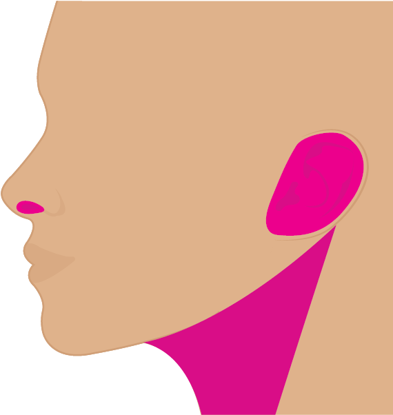 Ojeras Nariz Cuello Clipart (601x601), Png Download