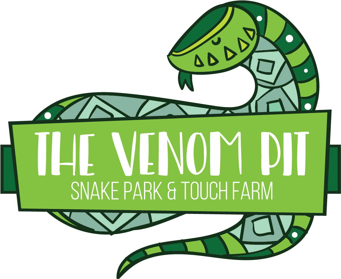 Snakes Clipart (1181x1181), Png Download