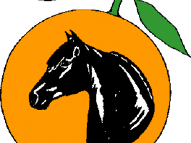 Mare Clipart Morgan Horse - Sorrel - Png Download (640x480), Png Download