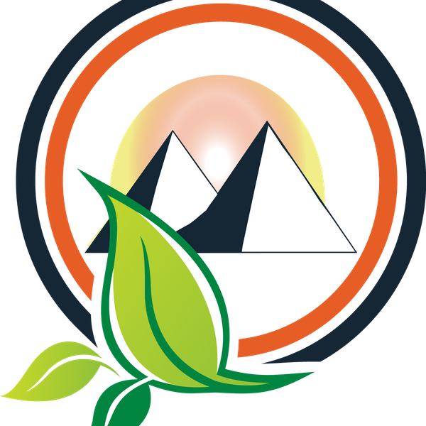 Pyramid Exterminators & Wildlife Control Clipart (600x600), Png Download