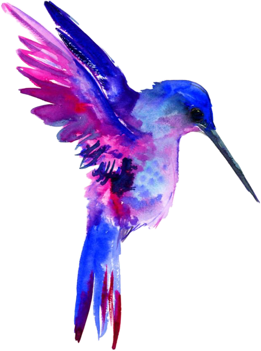 Report Abuse - Watercolor Hummingbird Clipart Free - Png Download (1024x1378), Png Download