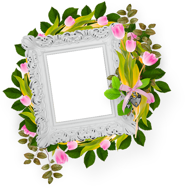 Cute Frames, Borders And Frames, Label Tag, Quotation, - Picture Frame Clipart (589x600), Png Download