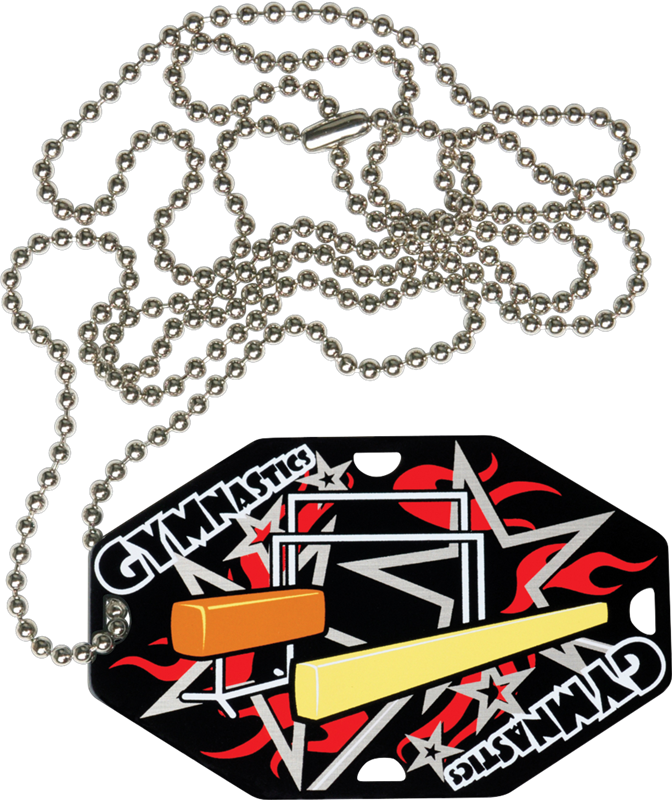 Larger Photo - Dog Tag Clipart (672x800), Png Download