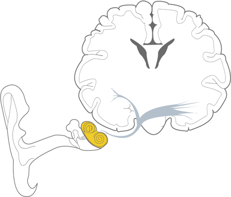 Sketch Clipart (800x800), Png Download