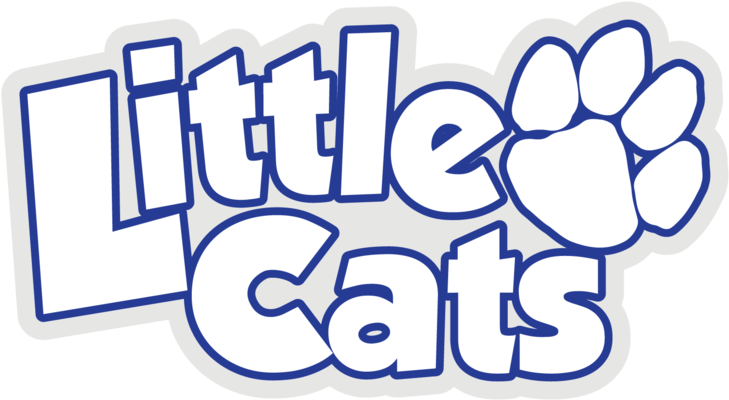 Search Clipart (800x537), Png Download