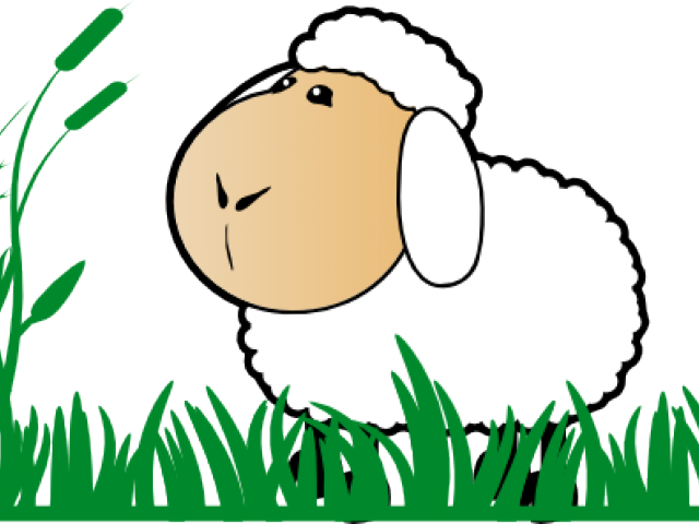 Grass Clipart Sheep - Cartoon Sheep - Png Download (640x480), Png Download
