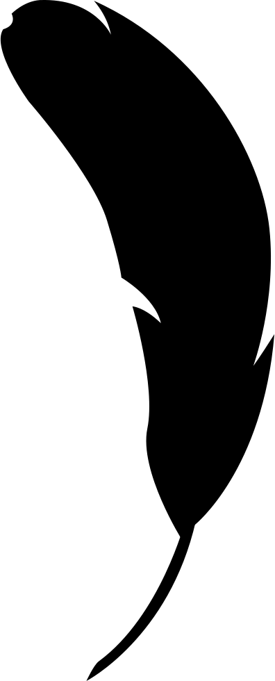 Feather Filled Natural Shape Comments - Black Feather Cartoon Png Clipart (396x980), Png Download
