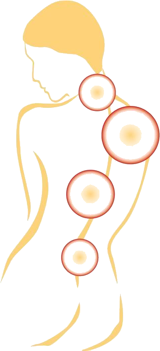 Transformations Massage & Body Work - Illustration Clipart (692x692), Png Download