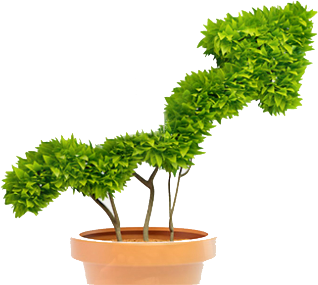 “the Private Investors Provide What Is Defined As Smart - Watering A Small Plant Clipart (1024x916), Png Download