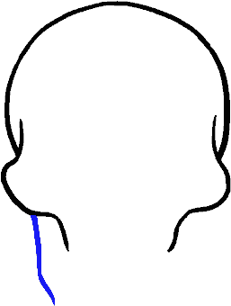 How To Draw Skull - Sketch Clipart (678x600), Png Download