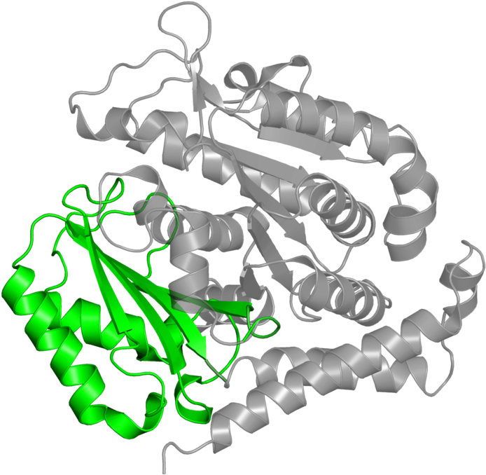 <div Class='caption-body'>2 Copies Of Cath Domain - Illustration Clipart (800x800), Png Download