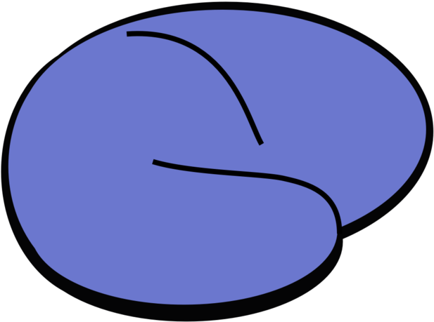 Mricro 4 - Circle Clipart (630x630), Png Download