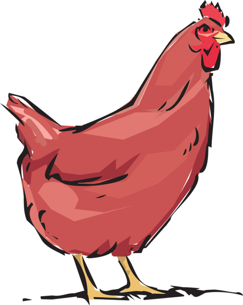 Red Hen,animal,farm,free Vector Graphics - Hen Chicken Clipart Png Transparent Png (500x629), Png Download