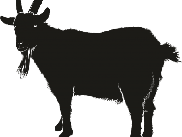 Shadow Clipart Goat Silhouette Goat Clipart Png Download Full Size Clipart 3330222 Pinclipart