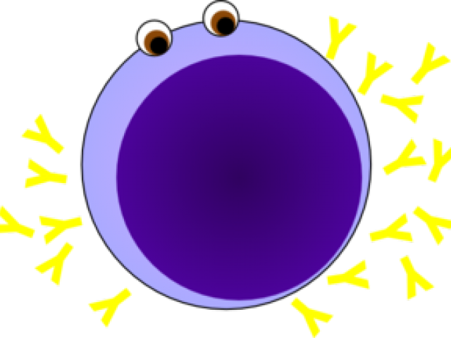 Plasma Clipart Nucleolus - Circle - Png Download (640x480), Png Download