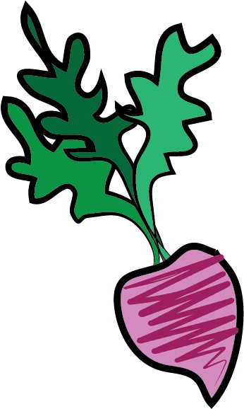 Beetroot Watercolor Painting Clipart (511x617), Png Download