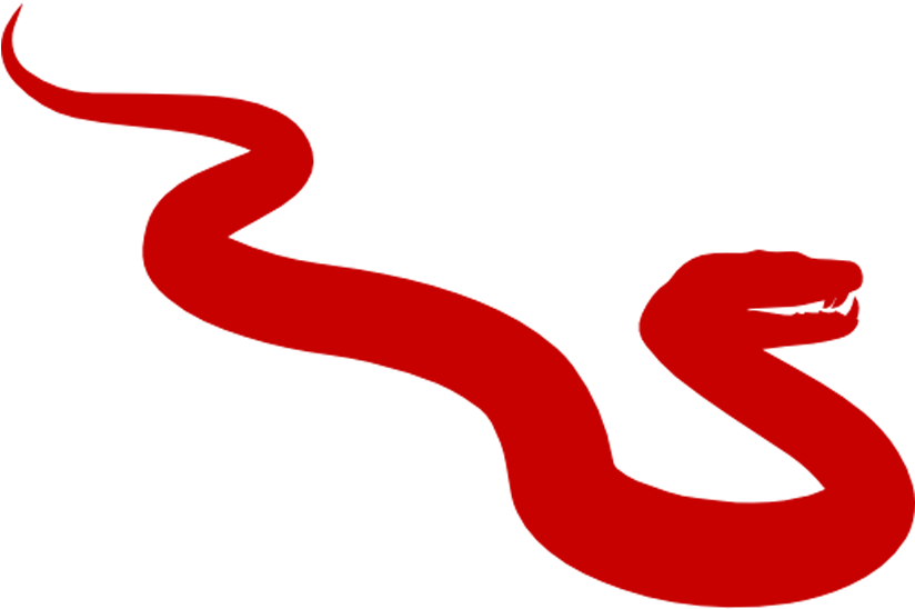 Snake Removal - Snake Icon Png Clipart (1060x1060), Png Download
