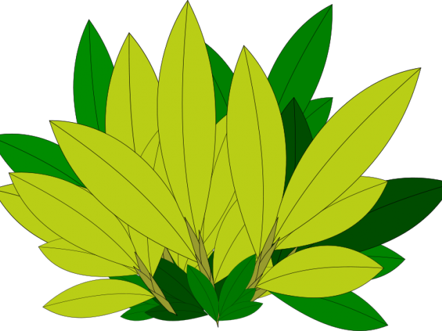 Foliage Clipart Greenery - Blätter Clipart - Png Download (640x480), Png Download