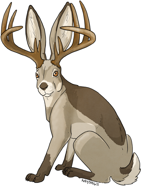 Jackalopes - Jackalope Transparent Background Clipart (500x661), Png Download