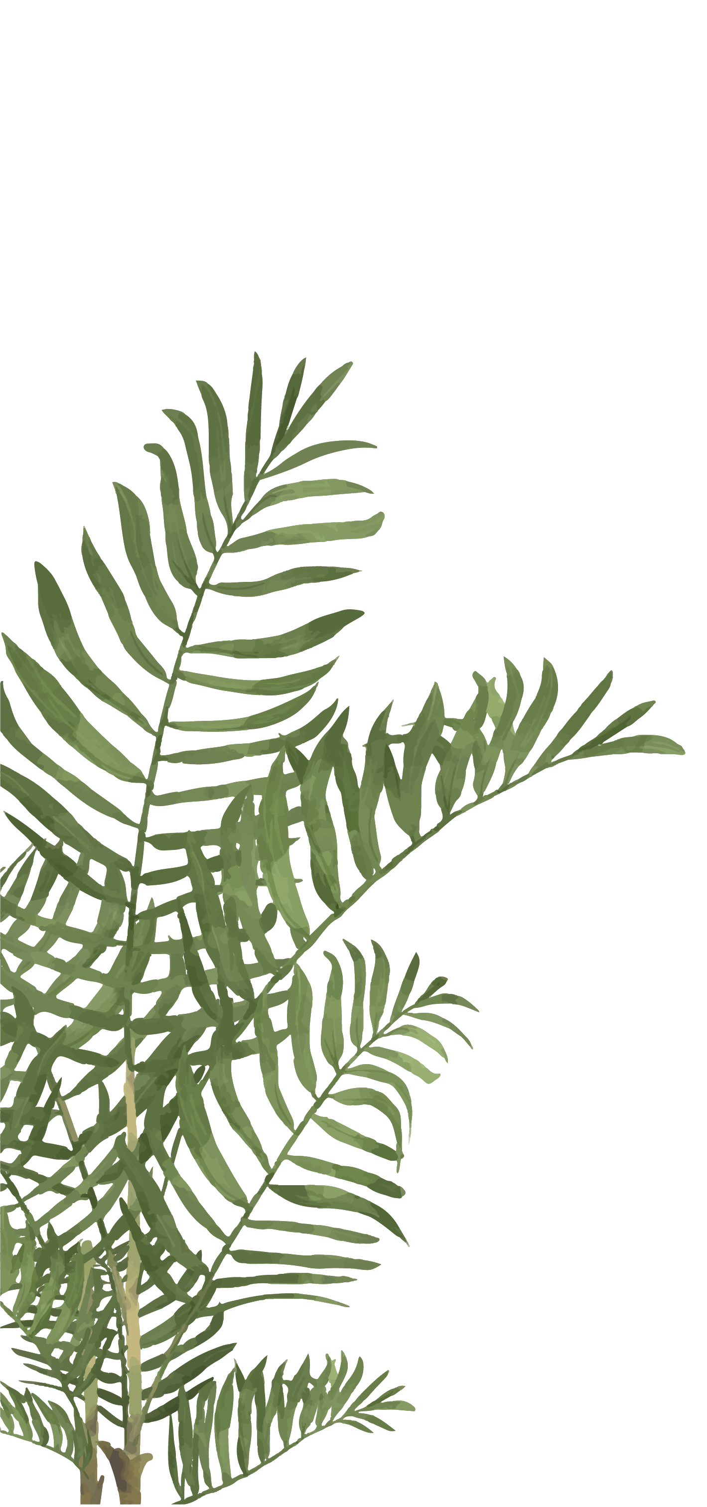 No Products In The Cart - Plantas Acuarela Clipart (1419x3025), Png Download