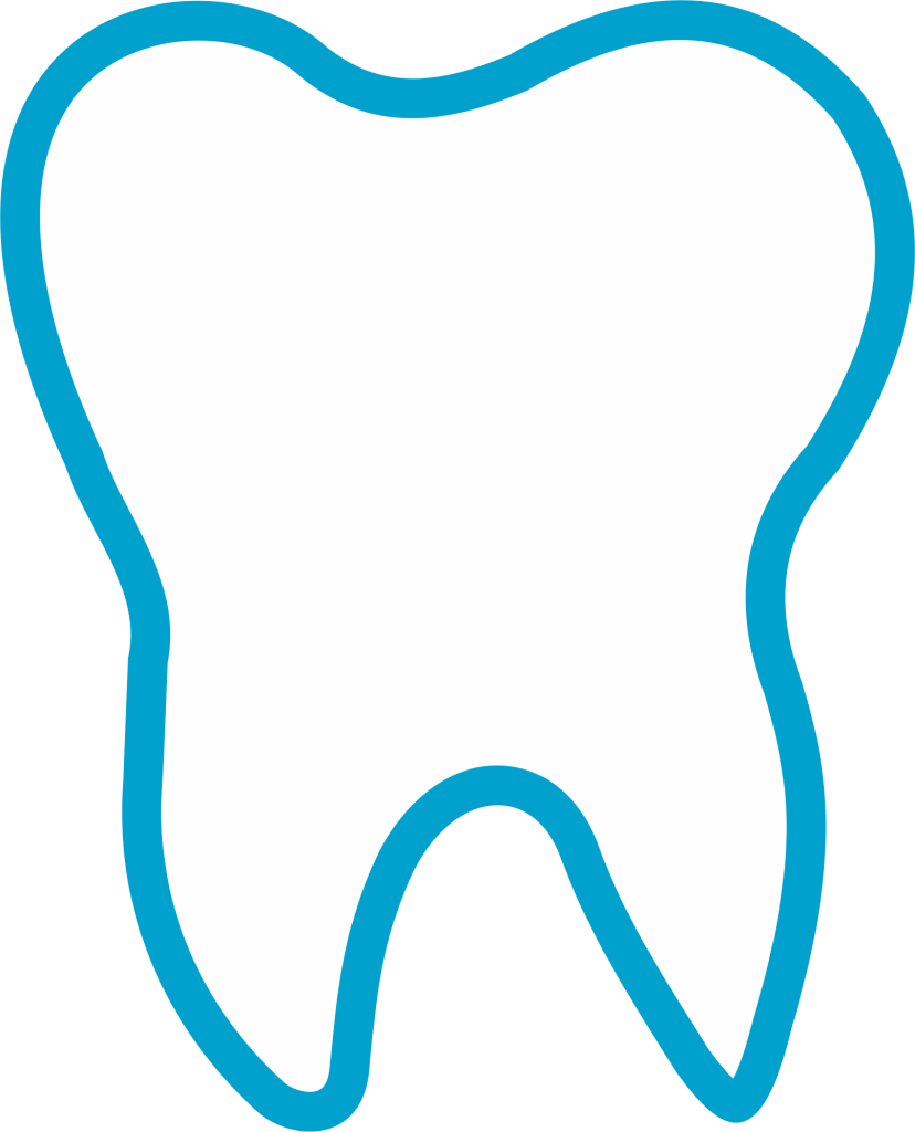 Imagenes Png De Dientes Clipart (828x1024), Png Download