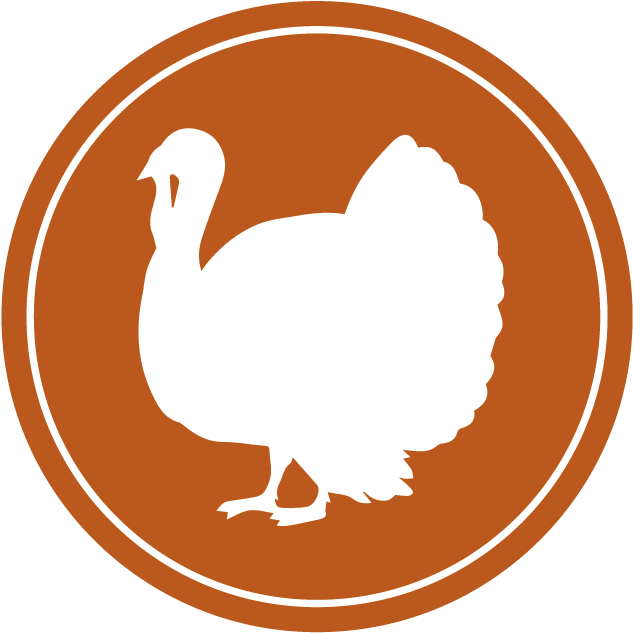 Turkey - Duck Clipart (675x685), Png Download