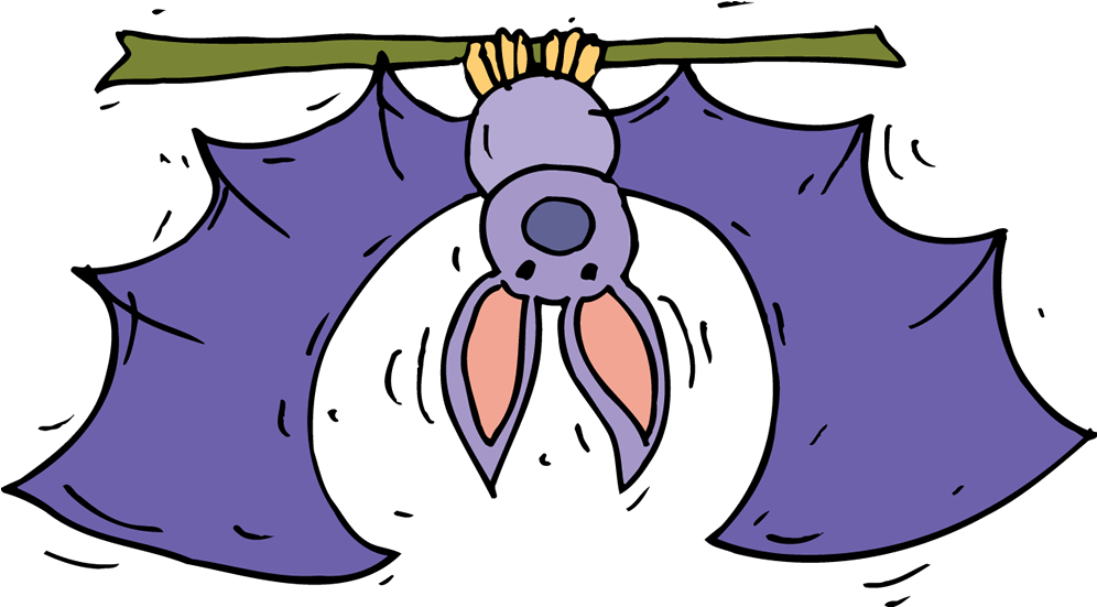 Bat - Cartoon Clipart (1000x1000), Png Download