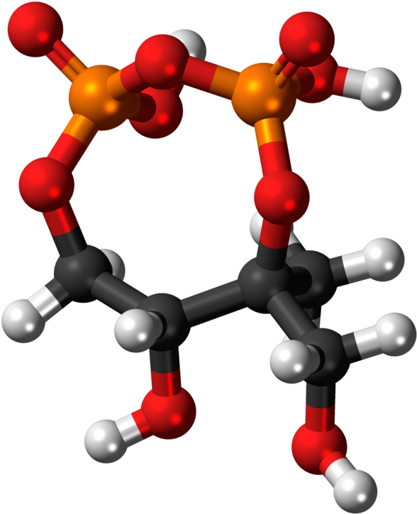 From Wikipedia, The Free Encyclopedia - Molecule Clipart (640x777), Png Download