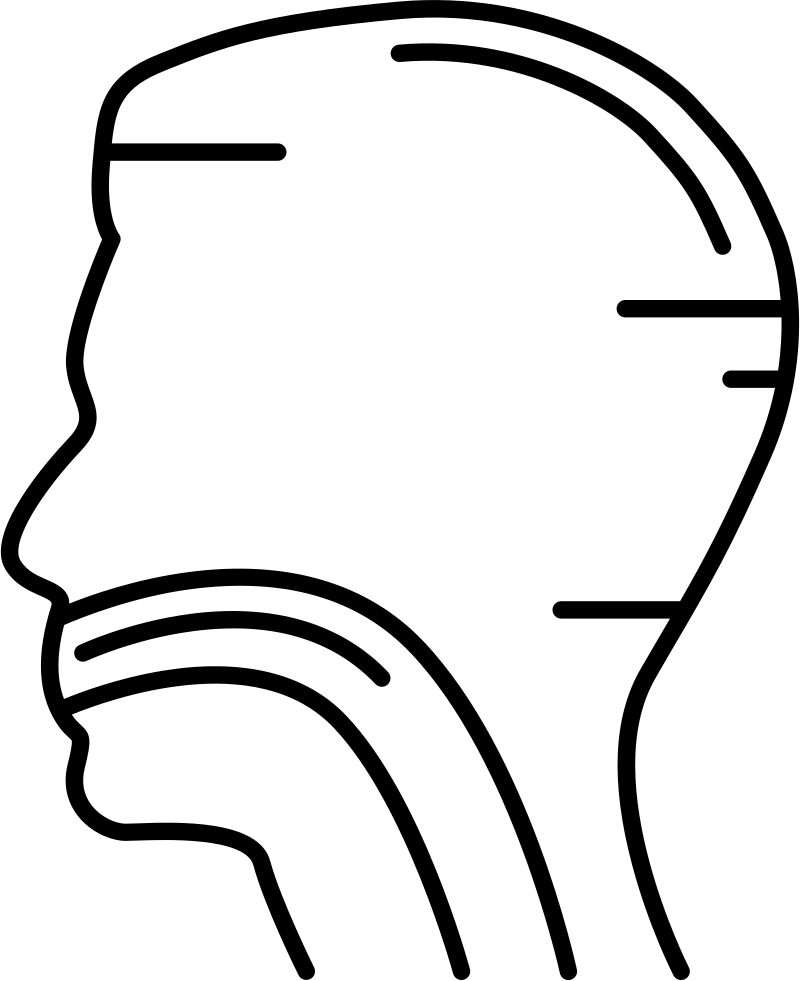 Human Trachea Comments - Dibujo Animado Tráquea Png Clipart (800x981), Png Download