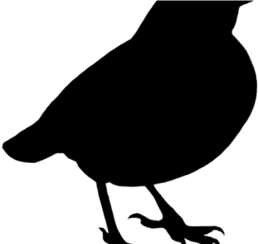 Songbird Clipart American - Small Black Bird Png Transparent Png (640x480), Png Download