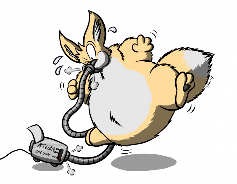 Fennec Inflation Clipart (800x623), Png Download