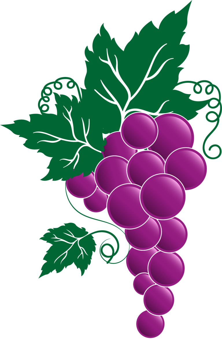 Transparent Grape Vines - Festa Dell Uva Broni Clipart (768x1171), Png Download